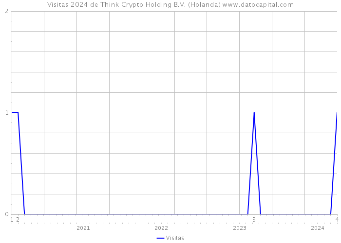 Visitas 2024 de Think Crypto Holding B.V. (Holanda) 