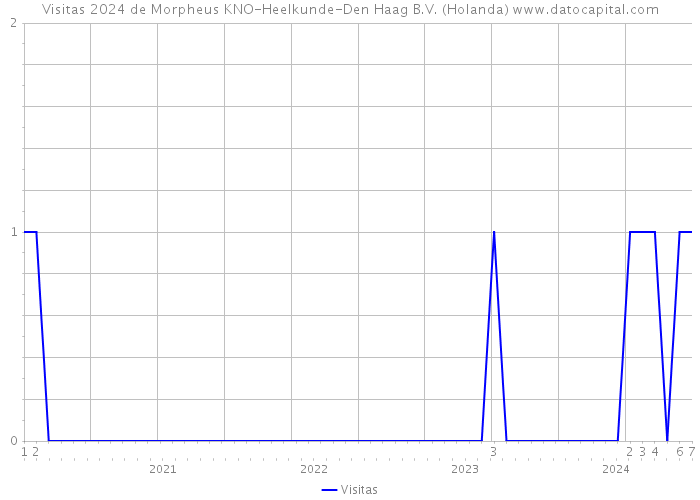 Visitas 2024 de Morpheus KNO-Heelkunde-Den Haag B.V. (Holanda) 