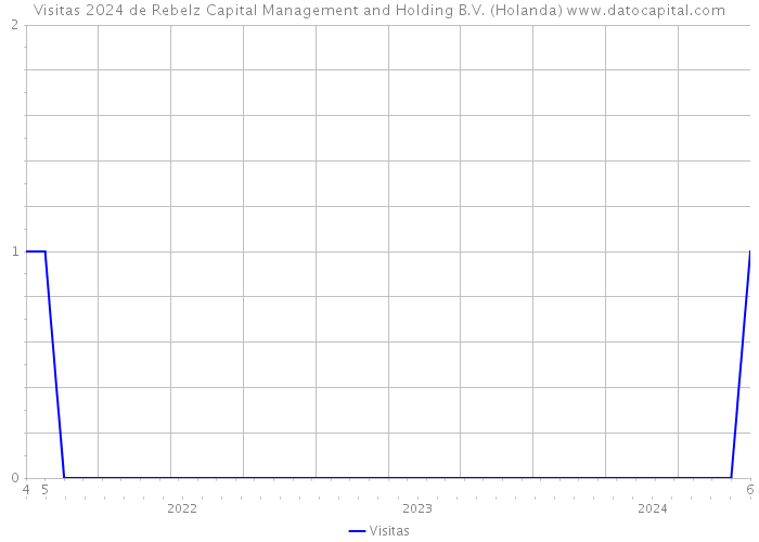 Visitas 2024 de Rebelz Capital Management and Holding B.V. (Holanda) 