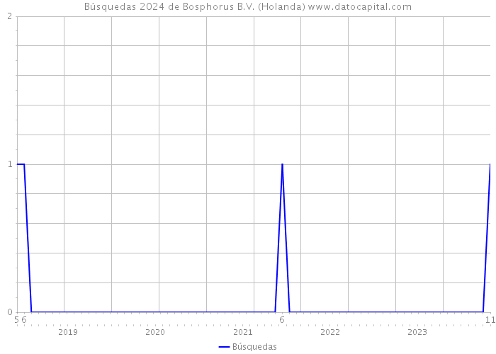 Búsquedas 2024 de Bosphorus B.V. (Holanda) 