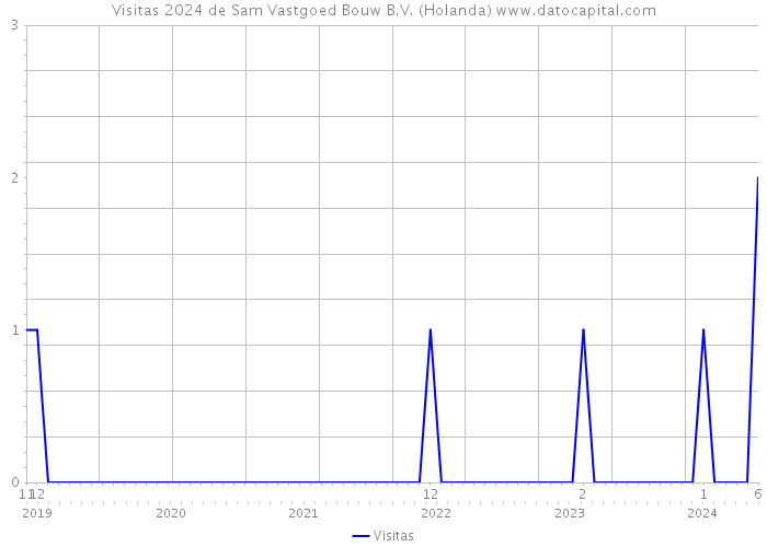 Visitas 2024 de Sam Vastgoed Bouw B.V. (Holanda) 