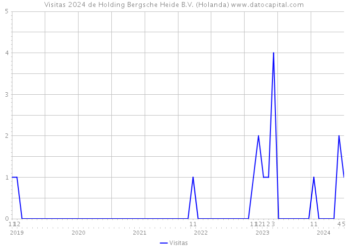 Visitas 2024 de Holding Bergsche Heide B.V. (Holanda) 
