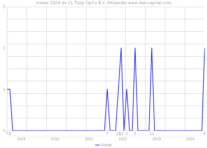 Visitas 2024 de CL Tulip OpCo B.V. (Holanda) 