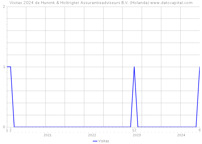 Visitas 2024 de Hunink & Holtrigter Assurantieadviseurs B.V. (Holanda) 