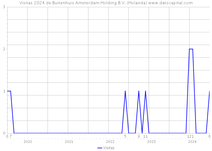 Visitas 2024 de Buitenhuis Amsterdam Holding B.V. (Holanda) 