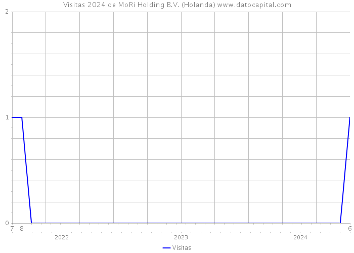 Visitas 2024 de MoRi Holding B.V. (Holanda) 