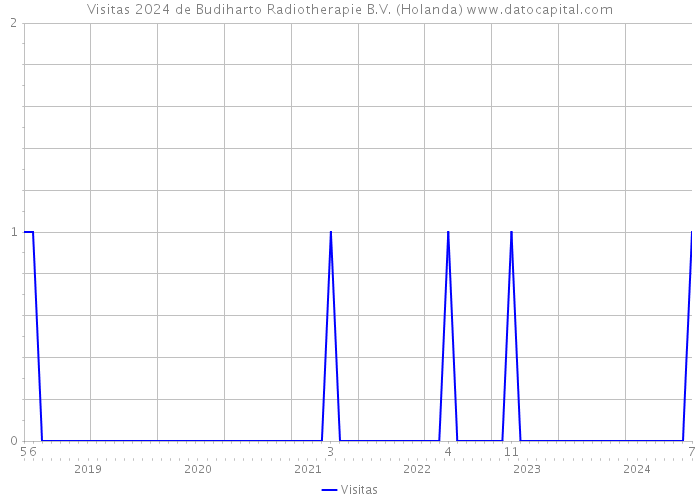 Visitas 2024 de Budiharto Radiotherapie B.V. (Holanda) 