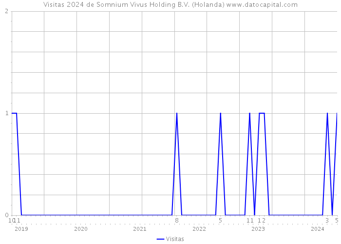 Visitas 2024 de Somnium Vivus Holding B.V. (Holanda) 