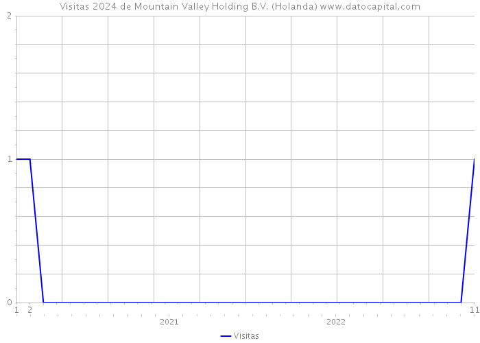 Visitas 2024 de Mountain Valley Holding B.V. (Holanda) 