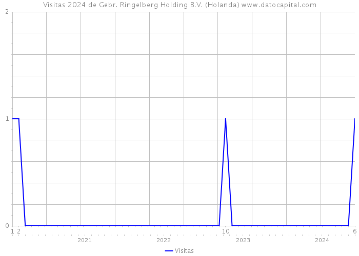 Visitas 2024 de Gebr. Ringelberg Holding B.V. (Holanda) 