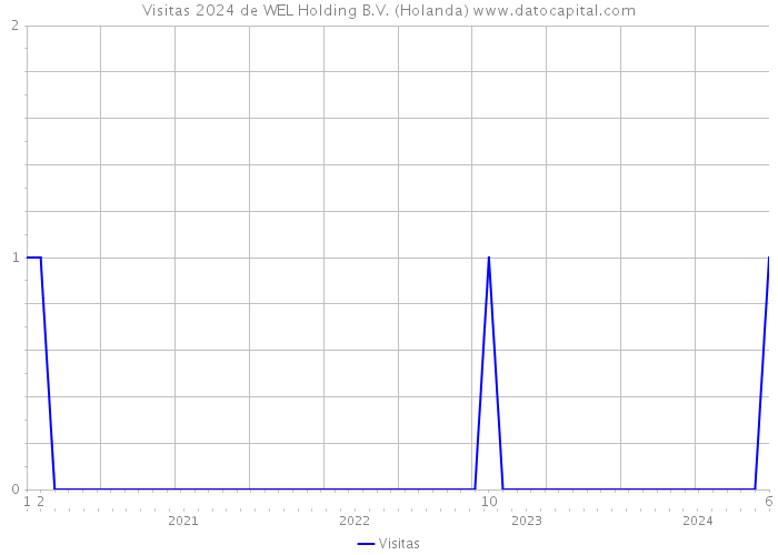 Visitas 2024 de WEL Holding B.V. (Holanda) 