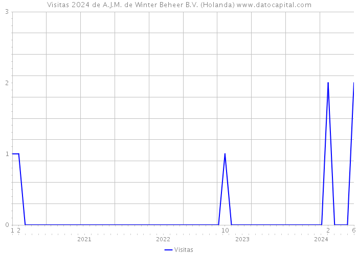 Visitas 2024 de A.J.M. de Winter Beheer B.V. (Holanda) 