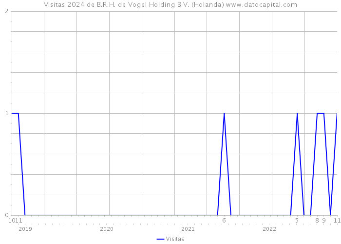 Visitas 2024 de B.R.H. de Vogel Holding B.V. (Holanda) 
