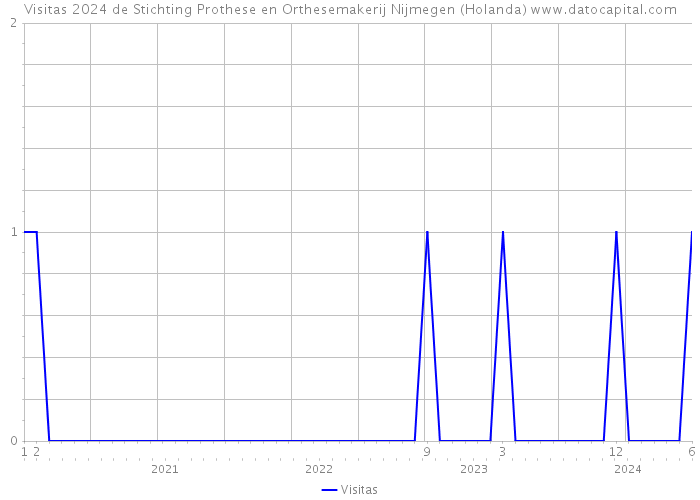 Visitas 2024 de Stichting Prothese en Orthesemakerij Nijmegen (Holanda) 