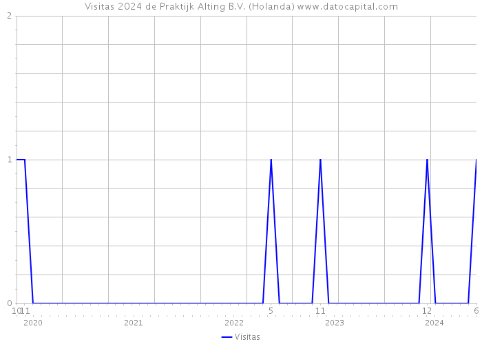 Visitas 2024 de Praktijk Alting B.V. (Holanda) 