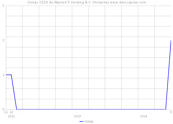 Visitas 2024 de Wanted 5 Holding B.V. (Holanda) 