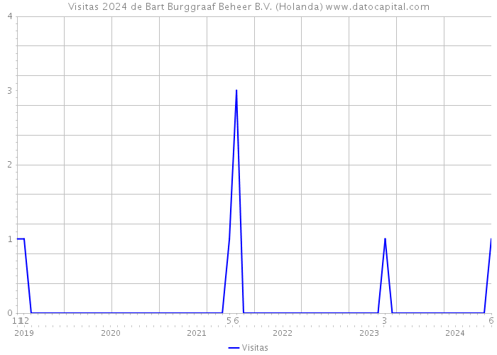 Visitas 2024 de Bart Burggraaf Beheer B.V. (Holanda) 