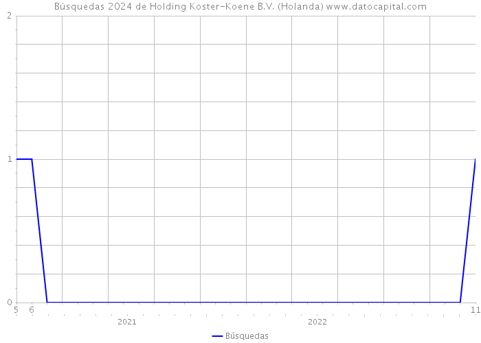 Búsquedas 2024 de Holding Koster-Koene B.V. (Holanda) 