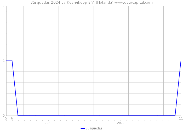 Búsquedas 2024 de Koenekoop B.V. (Holanda) 