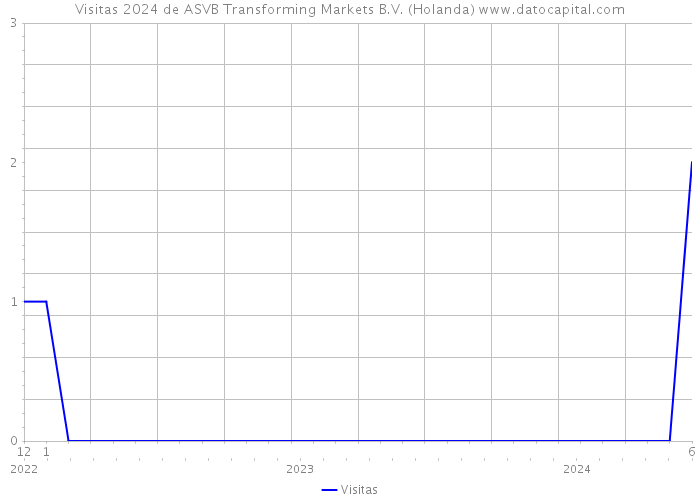 Visitas 2024 de ASVB Transforming Markets B.V. (Holanda) 