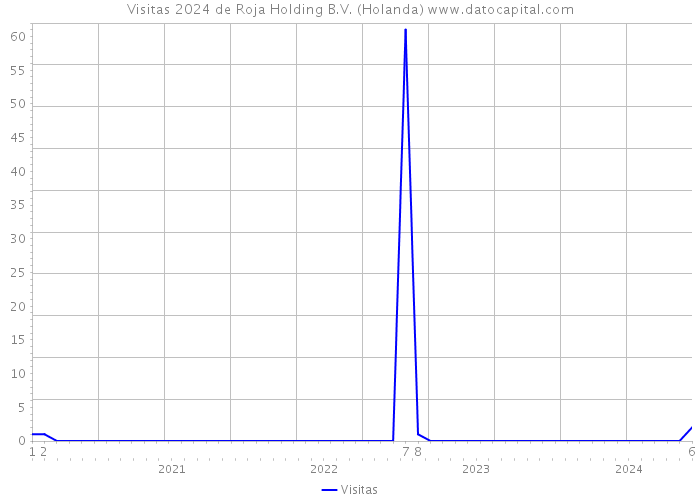 Visitas 2024 de Roja Holding B.V. (Holanda) 