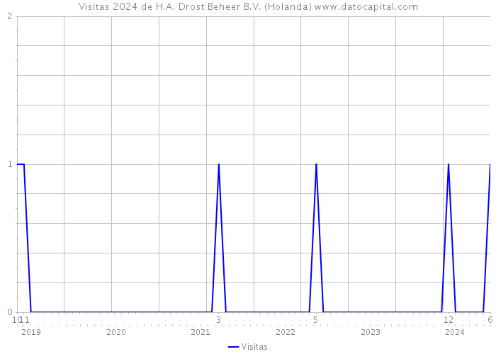 Visitas 2024 de H.A. Drost Beheer B.V. (Holanda) 