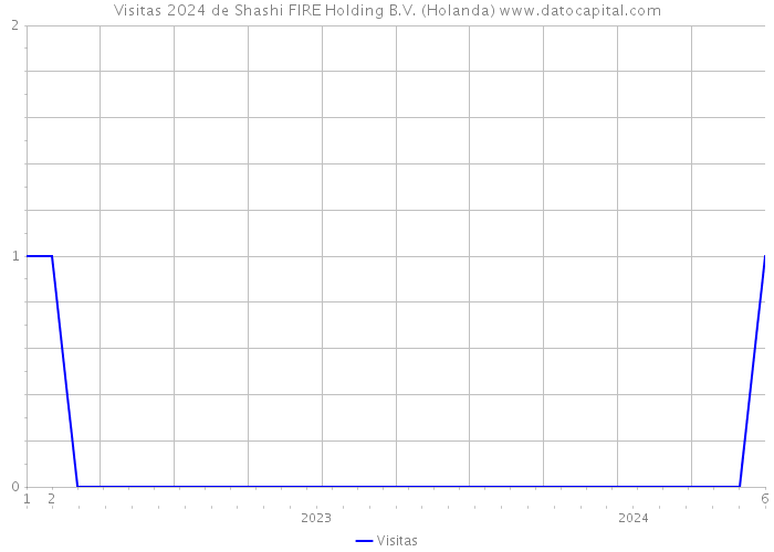 Visitas 2024 de Shashi FIRE Holding B.V. (Holanda) 