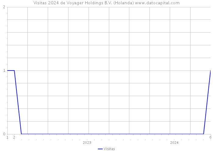 Visitas 2024 de Voyager Holdings B.V. (Holanda) 