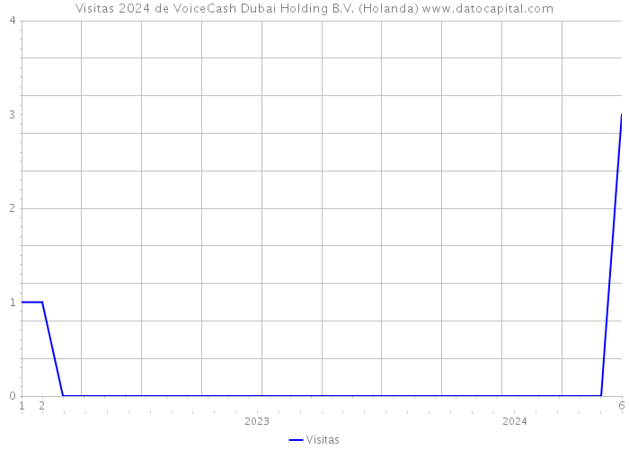 Visitas 2024 de VoiceCash Dubai Holding B.V. (Holanda) 