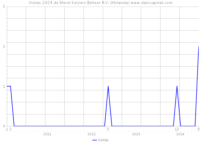 Visitas 2024 de Merel Keizers Beheer B.V. (Holanda) 