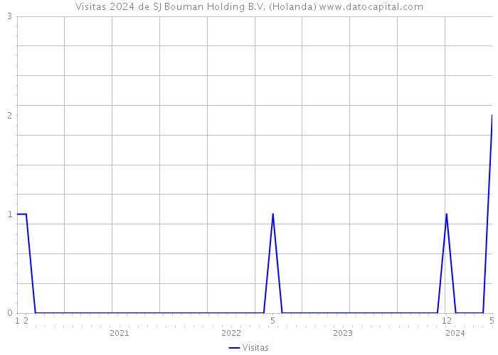 Visitas 2024 de SJ Bouman Holding B.V. (Holanda) 