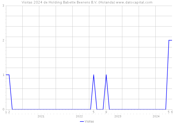 Visitas 2024 de Holding Babette Beerens B.V. (Holanda) 