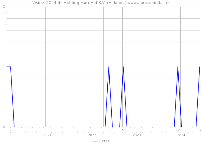 Visitas 2024 de Holding Mart Hof B.V. (Holanda) 