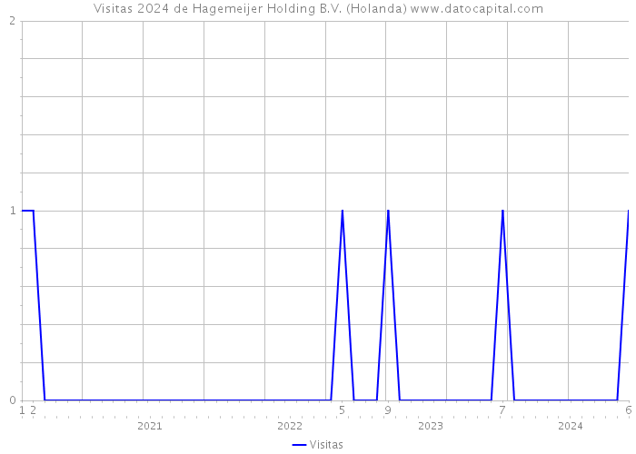 Visitas 2024 de Hagemeijer Holding B.V. (Holanda) 