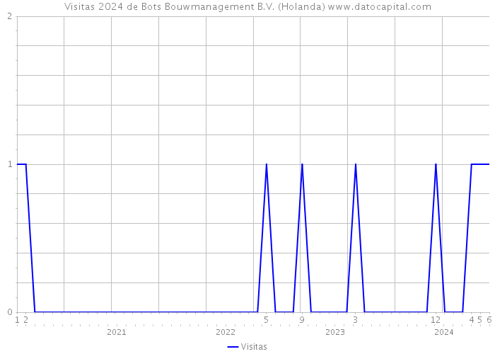 Visitas 2024 de Bots Bouwmanagement B.V. (Holanda) 