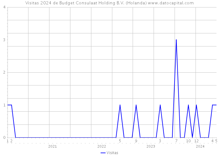 Visitas 2024 de Budget Consulaat Holding B.V. (Holanda) 