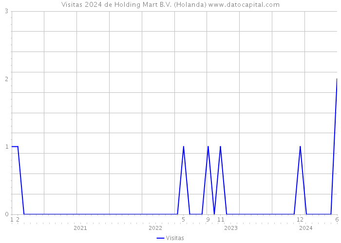 Visitas 2024 de Holding Mart B.V. (Holanda) 