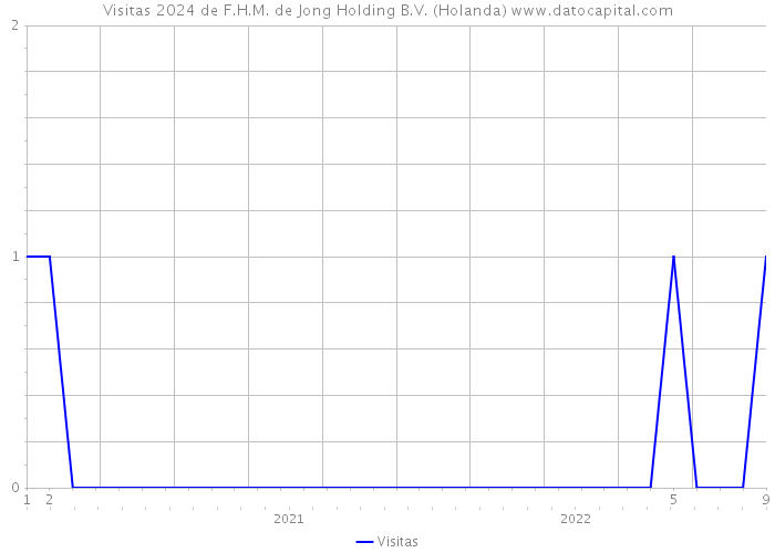 Visitas 2024 de F.H.M. de Jong Holding B.V. (Holanda) 