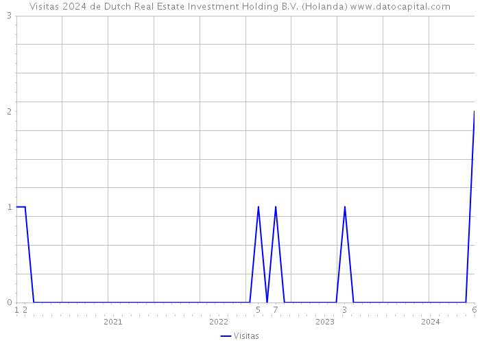 Visitas 2024 de Dutch Real Estate Investment Holding B.V. (Holanda) 