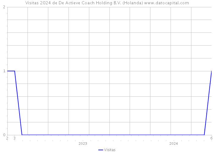 Visitas 2024 de De Actieve Coach Holding B.V. (Holanda) 