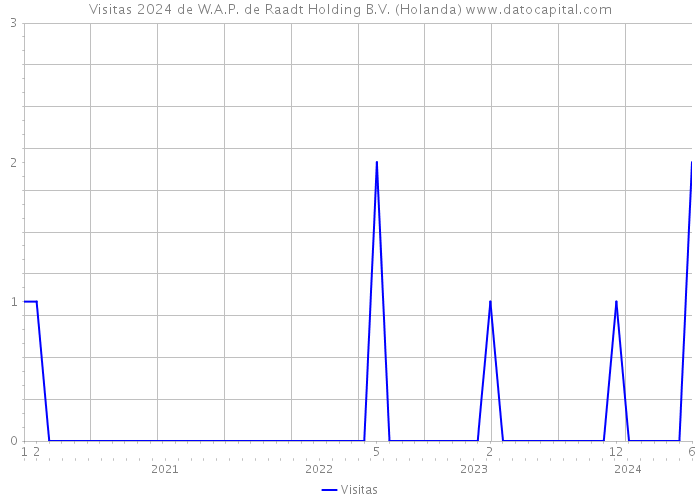 Visitas 2024 de W.A.P. de Raadt Holding B.V. (Holanda) 