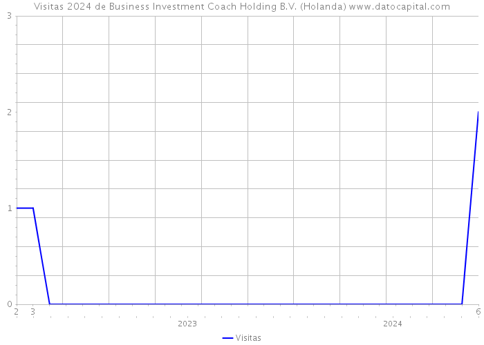 Visitas 2024 de Business Investment Coach Holding B.V. (Holanda) 