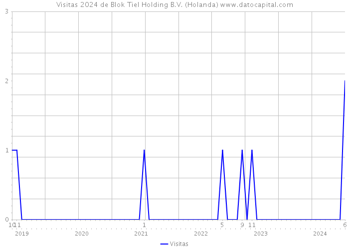 Visitas 2024 de Blok Tiel Holding B.V. (Holanda) 