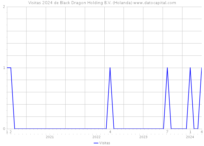Visitas 2024 de Black Dragon Holding B.V. (Holanda) 