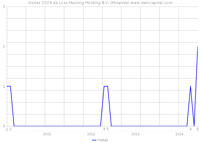 Visitas 2024 de Loes Huizing Holding B.V. (Holanda) 