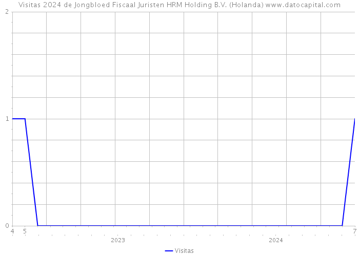 Visitas 2024 de Jongbloed Fiscaal Juristen HRM Holding B.V. (Holanda) 