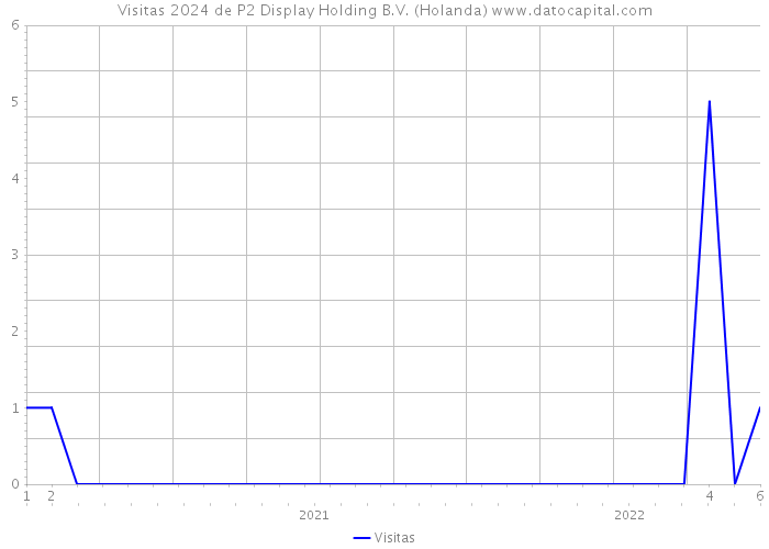 Visitas 2024 de P2 Display Holding B.V. (Holanda) 