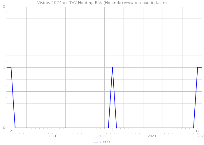 Visitas 2024 de TVV Holding B.V. (Holanda) 