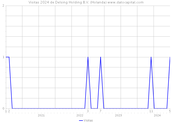 Visitas 2024 de Delsing Holding B.V. (Holanda) 