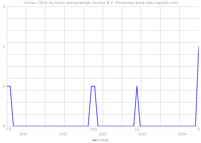 Visitas 2024 de Advocatenpraktijk Verster B.V. (Holanda) 